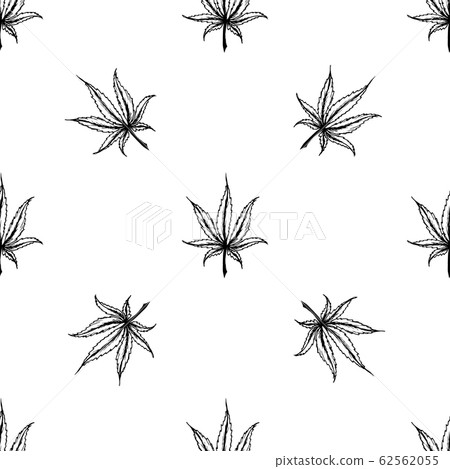 Cannabis (marijuana) leaf hand drawn seamless Cannabis (marijuana) leaf hand drawn seamless 62562055