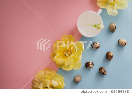 Easter eggs, flowers on pink and blue background.  62564588