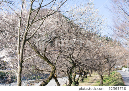 Hachioji City, Tokyo, Takao Umekyo, Promenade Bairin 62565738