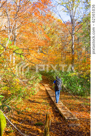 Autumn Hiuchiyama climbing 62565836