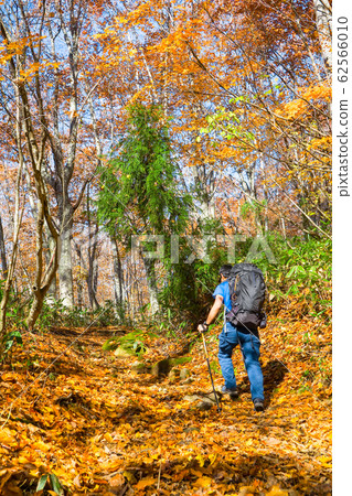 秋天的內山登山 秋天的內山登山 62566010
