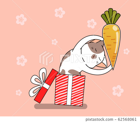 Cute bunny cat is holding carrot inside gift box Cute bunny cat is holding carrot inside gift box 62568061