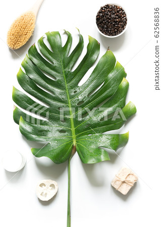 Monstera leaf, brush, coffee beans, SPA set Monstera leaf, brush, coffee beans, SPA set 62568836
