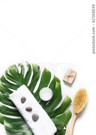 Monstera leaf, brush, SPA set from cellulite 62568839