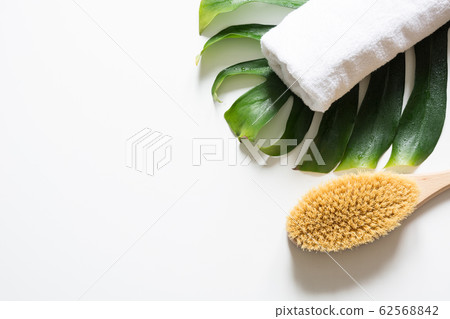 Monstera leaf, brush, SPA set for cellulite Monstera leaf, brush, SPA set for cellulite 62568842