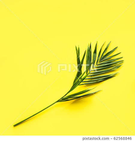 Tropical pattern of palms leaf on yellow. Tropical pattern of palms leaf on yellow. 62568846