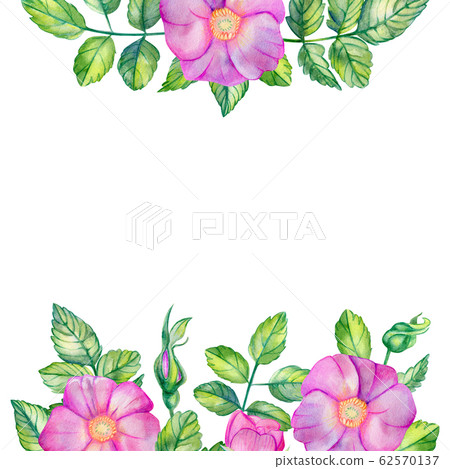 Watercolor square frame with rose hips. Watercolor square frame with rose hips. 62570137