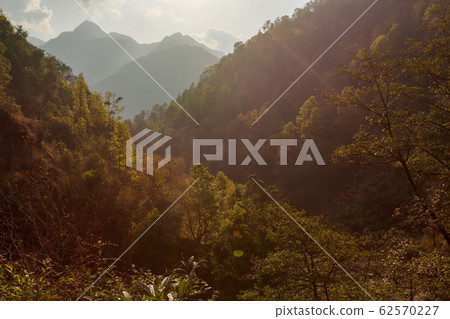 Green hills Green hills 62570227