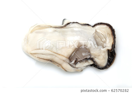 Oyster 62570282