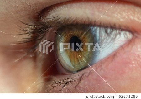 Human Eye Macro View Human Eye Macro View 62571289
