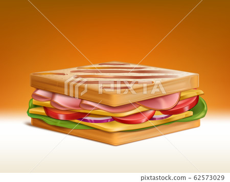 Sandwich with meat, cheese and vegetables 62573029