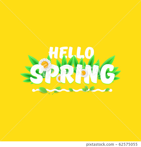 vector hello spring cut paper banner with text and flowers. hello spring slogan or label isolated on orange 62575055