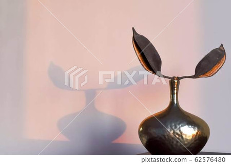 Dry bean plants in a vase. Shadow on the wall Dry bean plants in a vase. Shadow on the wall 62576480