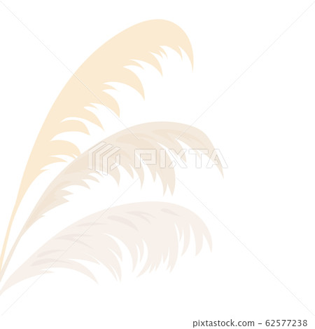 Silver Pampas grass Card template frame on the Silver Pampas grass Card template frame on the 62577238