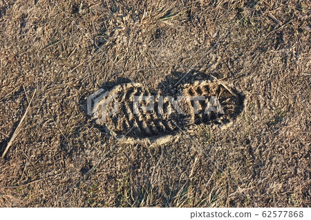 Frozen road dirt with a trace of one boot. 62577868