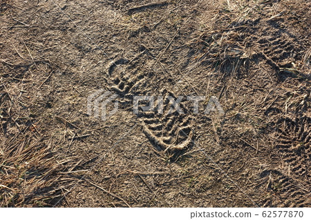 Frozen road dirt with a trace of one boot. Frozen road dirt with a trace of one boot. 62577870