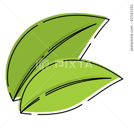 Isolated leaves icon Isolated leaves icon 62581561