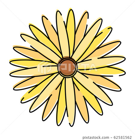 Isolated beatiful flower icon Isolated beatiful flower icon 62581562