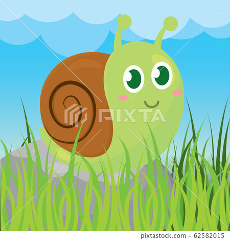 Cute snail cartoon 62582015