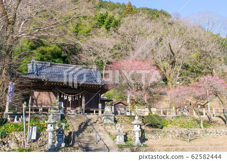 Mount Takao, Meiji Forest, Hikawa Shrine on the Takaosanguchi Station side 62582444