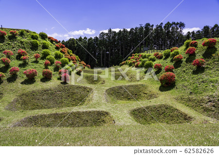 [Shizuoka] Yamanaka Castle Park in early summer with beautiful shoji moat 62582626