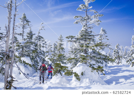 Oshirabiso Forest 62582724