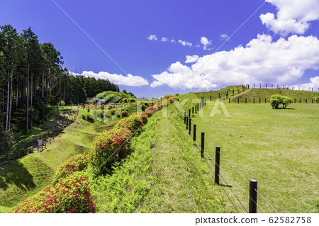 [Shizuoka Prefecture] Yamanaka Castle Park in early summer, with beautiful Unebori 62582758