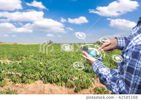 Innovation technology for smart farm system, Innovation technology for smart farm system, 62585108