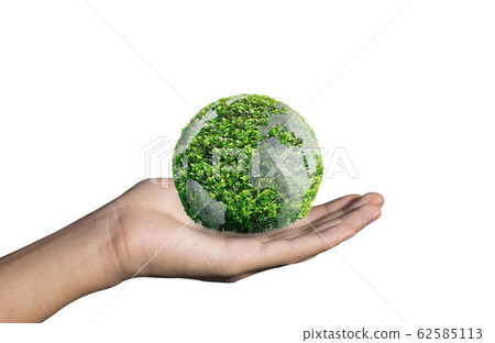World environment day concept with tree planting 62585113