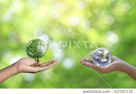World environment day concept with tree planting World environment day concept with tree planting 62585116