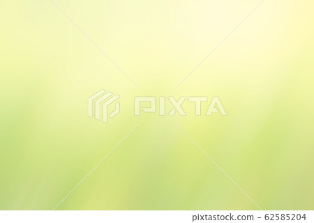 Closeup nature view of blurred greenery background Closeup nature view of blurred greenery background 62585204