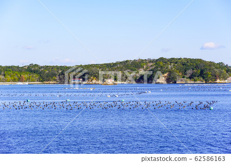 Ago Bay scenery seen from a sightseeing boat 62586163
