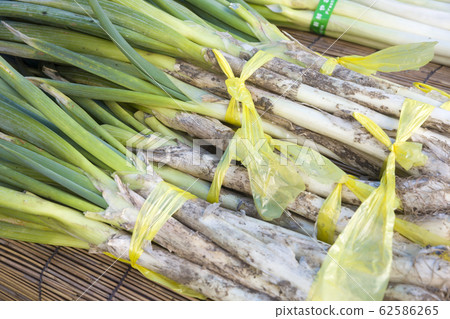 Agricultural direct sale place, alley sale green onion 62586265