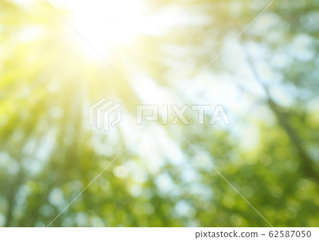 abstract nature background 62587050