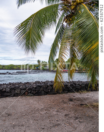 Sandy beaches and palm trees at Kona Pu'uhonua National Historical Park on the Big Island of Hawaii. Sandy beaches and palm trees at Kona Pu'uhonua National Historical Park on the Big Island of Hawaii. 62587912