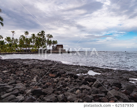 Palm trees and lava coastline scenery at Pu'uhonua National Historical Park on the Big Island of Hawaii Palm trees and lava coastline scenery at Pu'uhonua National Historical Park on the Big Island of Hawaii 62587930