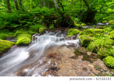 夏天大山清流 62588185