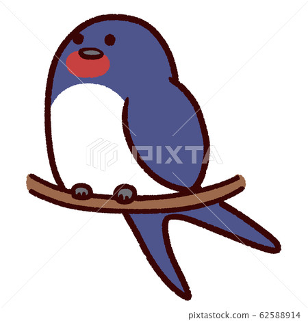 A perennial swallow perching on a perch 62588914