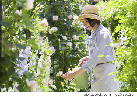 園藝形象澆水的女人 62589126