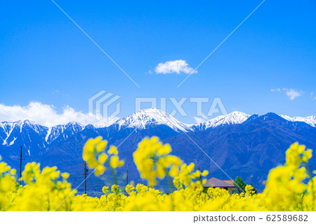 Northern Alps, rape blossoms and blue sky [Nagano Prefecture] 62589682