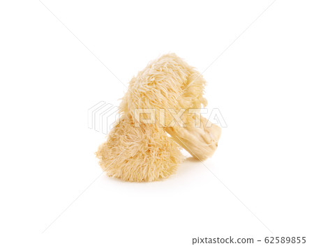 Hericium erinaceus mushroom (monkey head mushroom, Hericium erinaceus mushroom (monkey head mushroom, 62589855