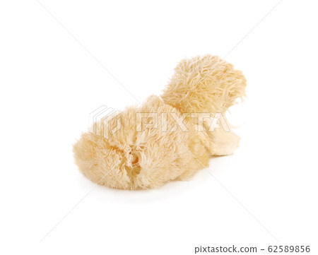 Hericium erinaceus mushroom (monkey head mushroom, Hericium erinaceus mushroom (monkey head mushroom, 62589856