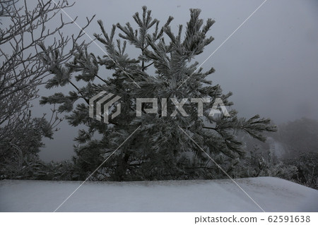 國家公園,北寒山,冬天,雪 國家公園,北寒山,冬天,雪 62591638