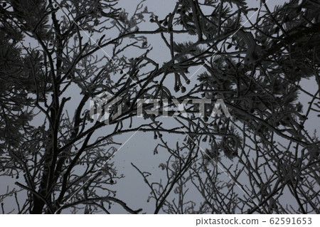 國家公園，北寒山，冬天，雪 62591653