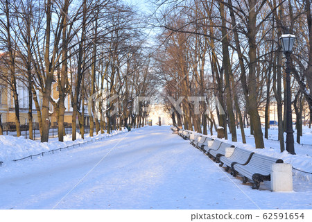 Alley in Alexander Garden in Saint Petersburg. 62591654