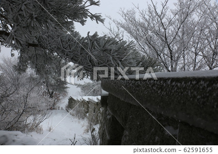 國家公園,北寒山,冬天,雪 國家公園,北寒山,冬天,雪 62591655