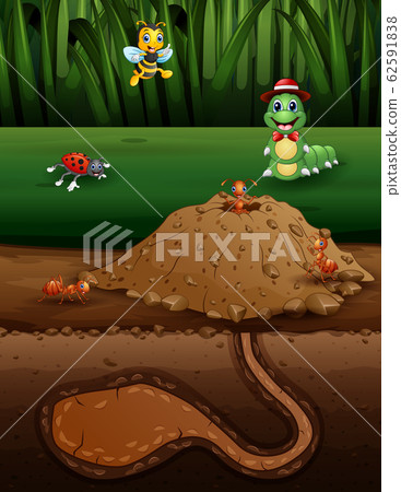 Nature scene with an anthill and some insects	vwector 62591838