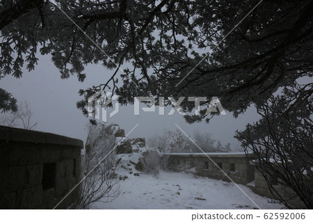 National Parks, North Korea, Winter Trees, Snow 62592006