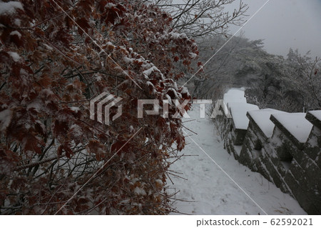 National Parks, North Korea, Winter Trees, Snow National Parks, North Korea, Winter Trees, Snow 62592021