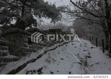 National Parks, North Korea, Winter Trees, Snow National Parks, North Korea, Winter Trees, Snow 62592025